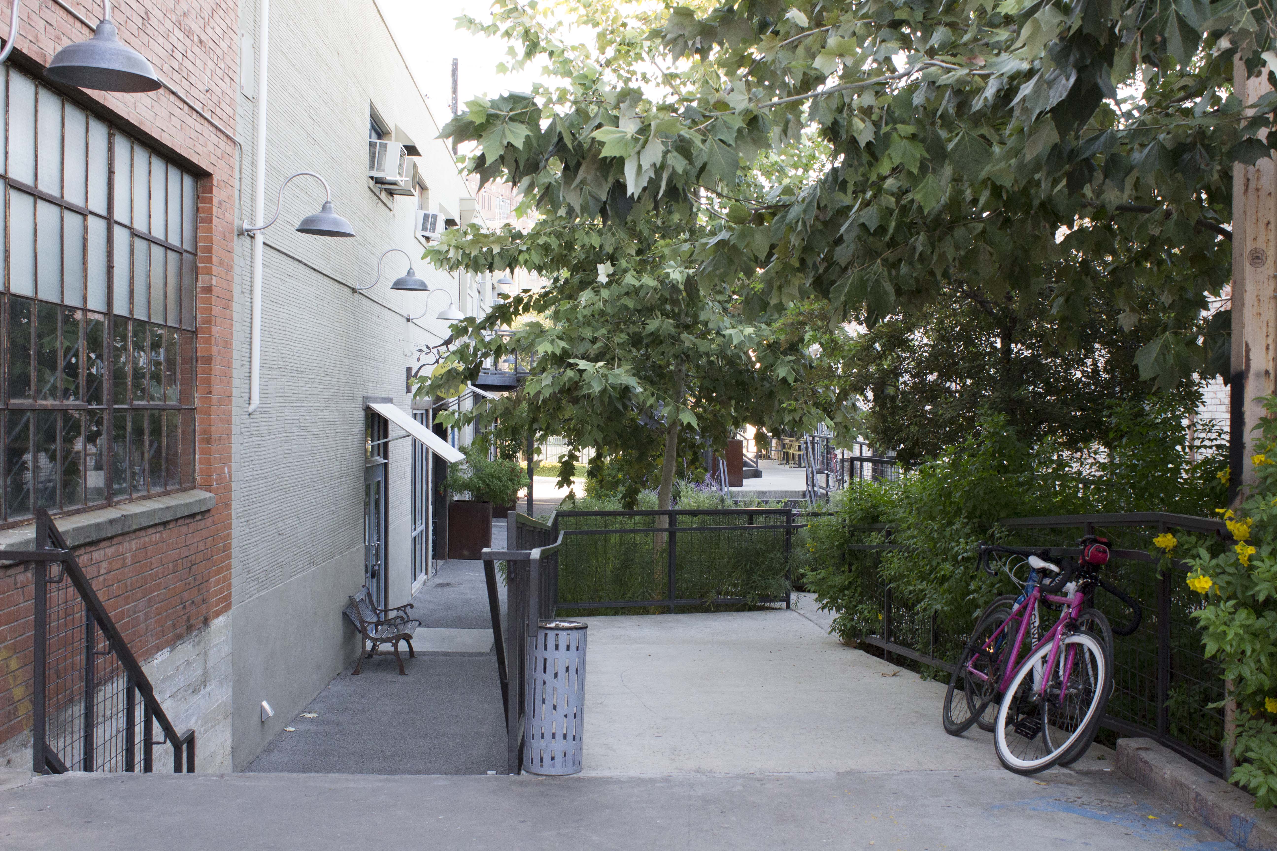Corridor at local small business complex with trees