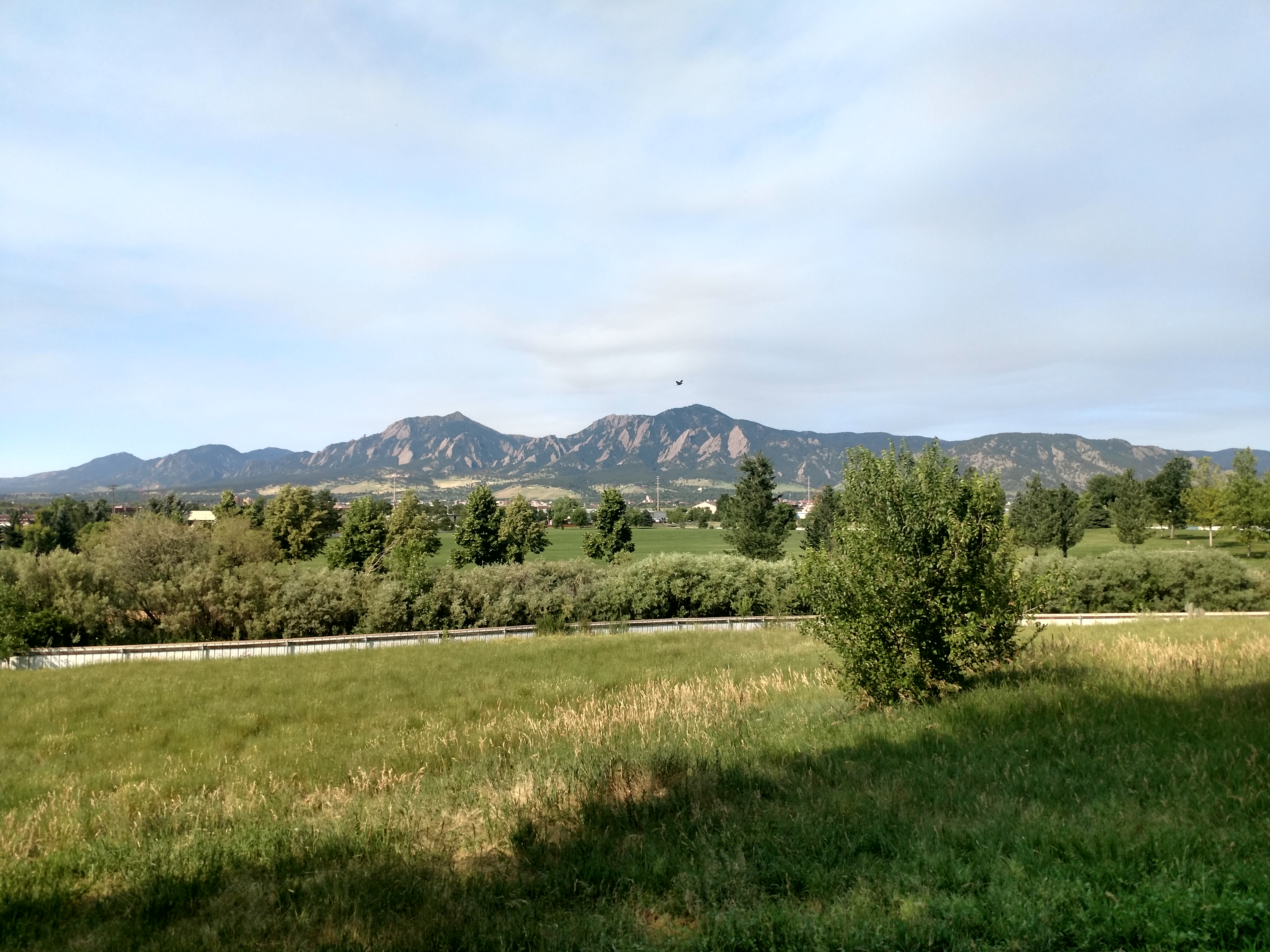 View of scattered trees with mountains in the distance