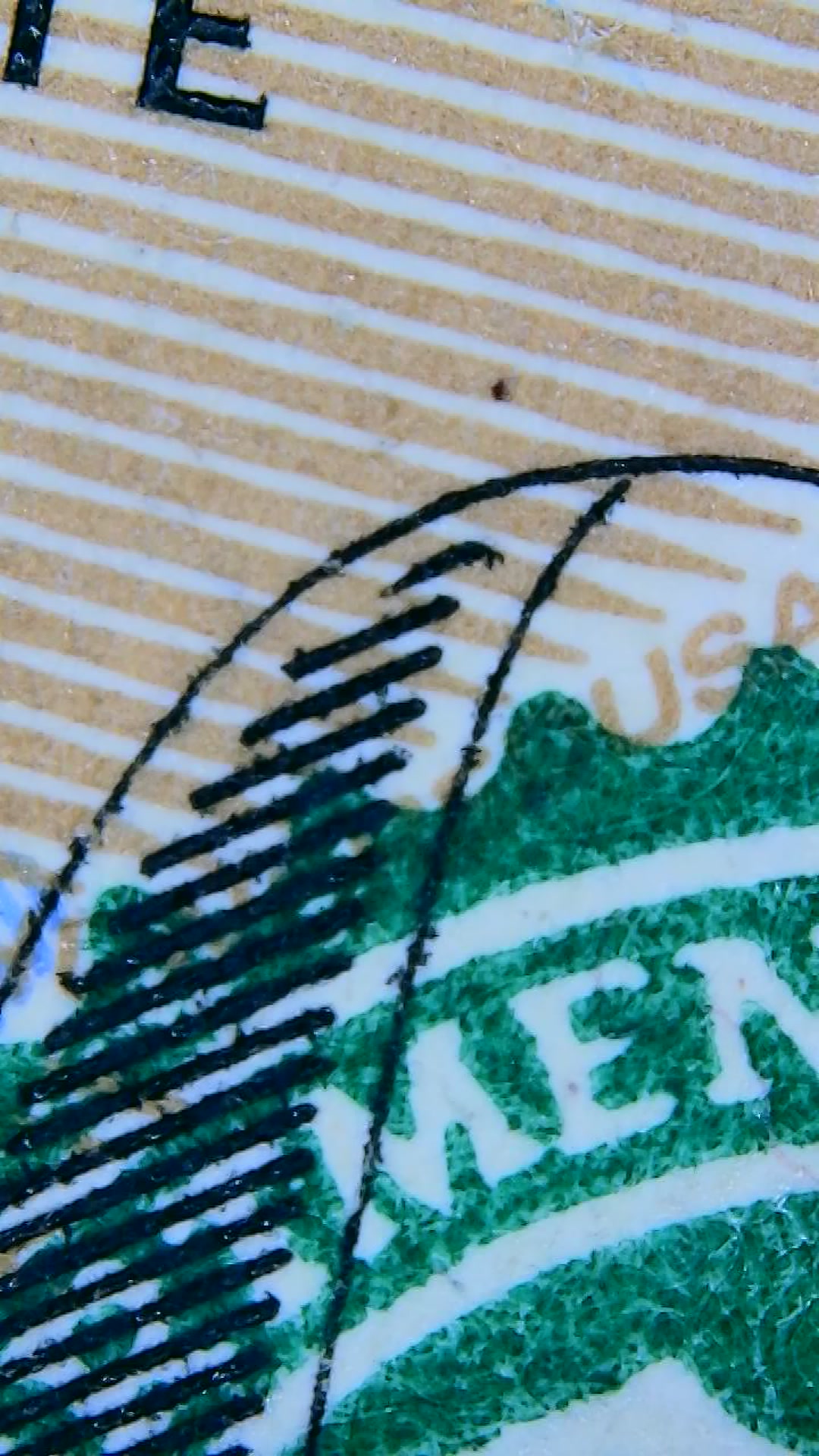 Closeup of US Currency