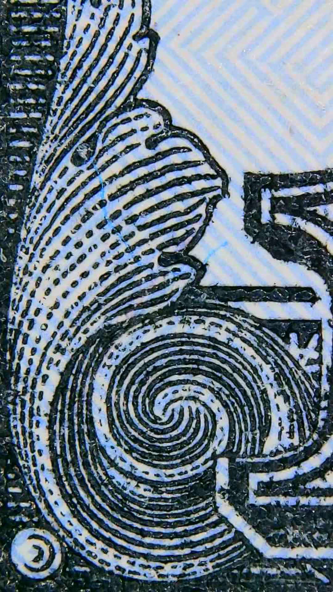 Closeup of US Currency