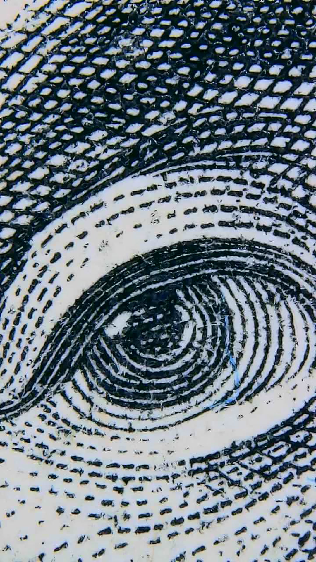 Closeup of US Currency