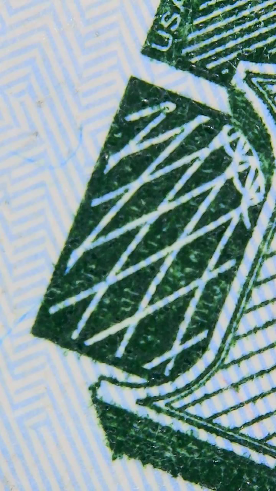 Closeup of US Currency