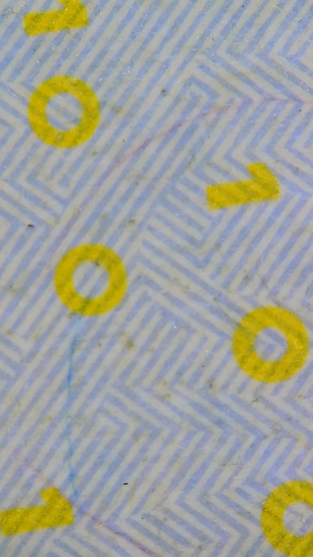 Closeup of US Currency