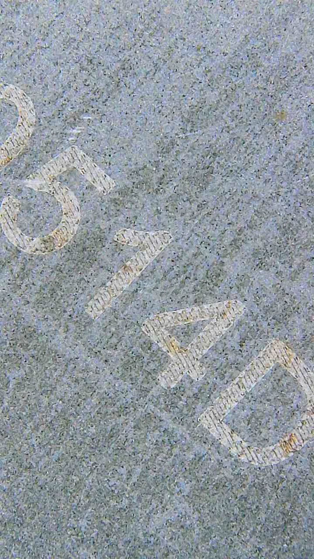 Closeup of US Currency