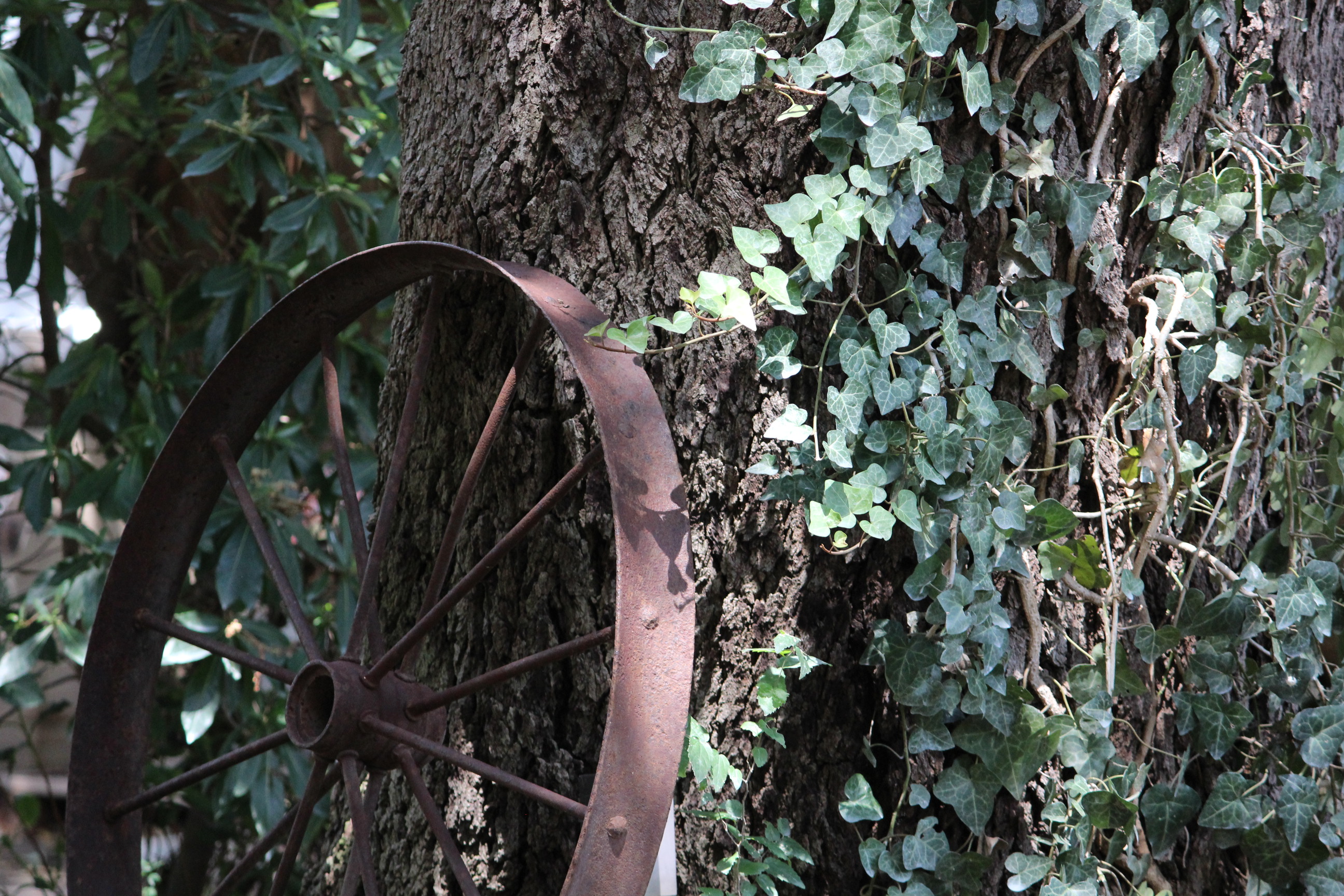 Abandoned wagon wheel against tree