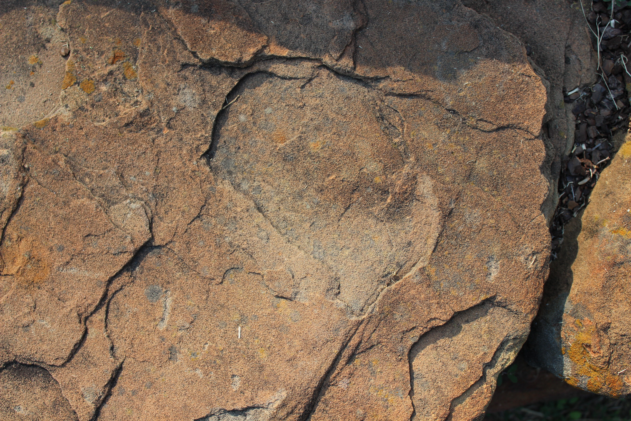 Random rock formation with lichen