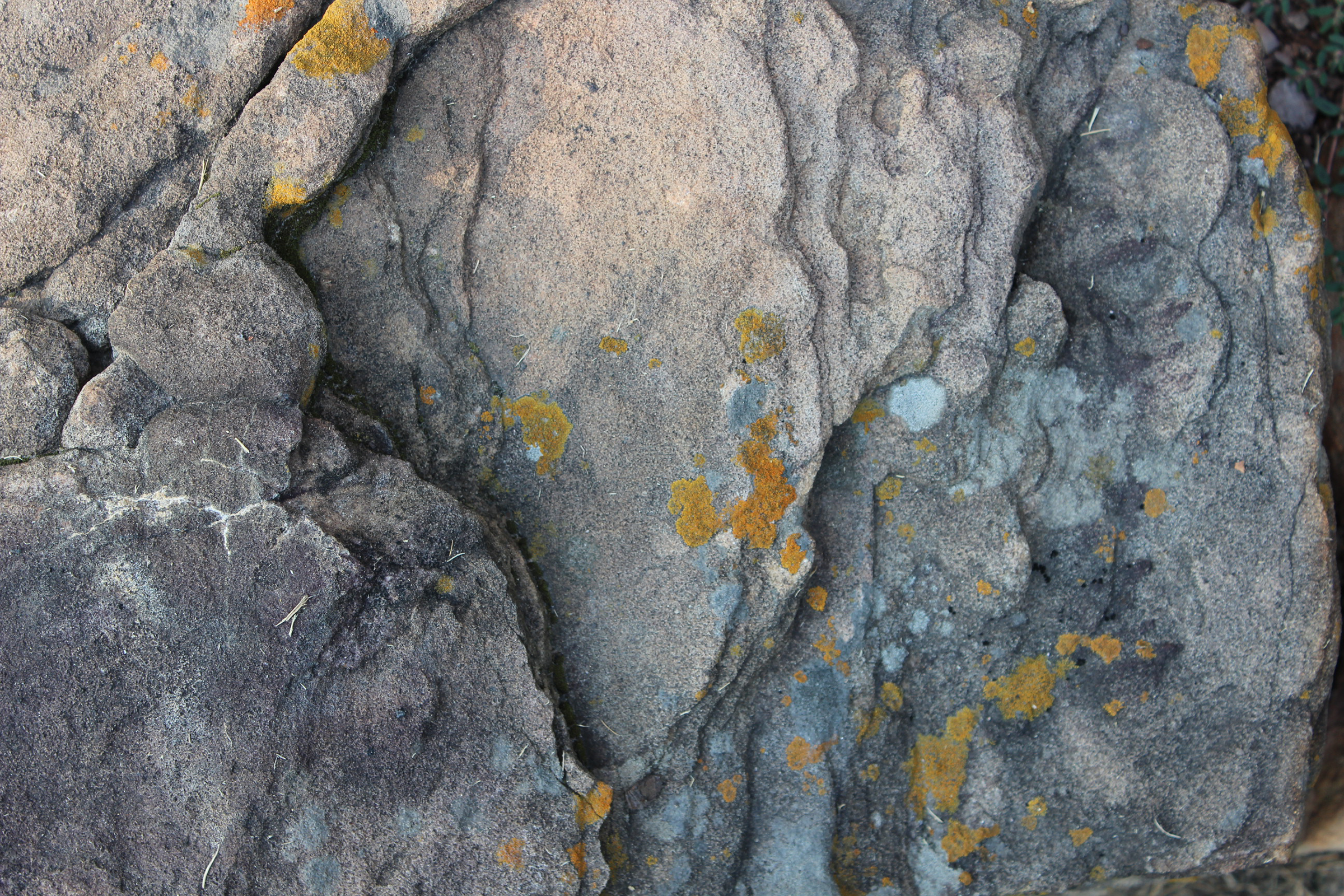 Random rock formation with lichen