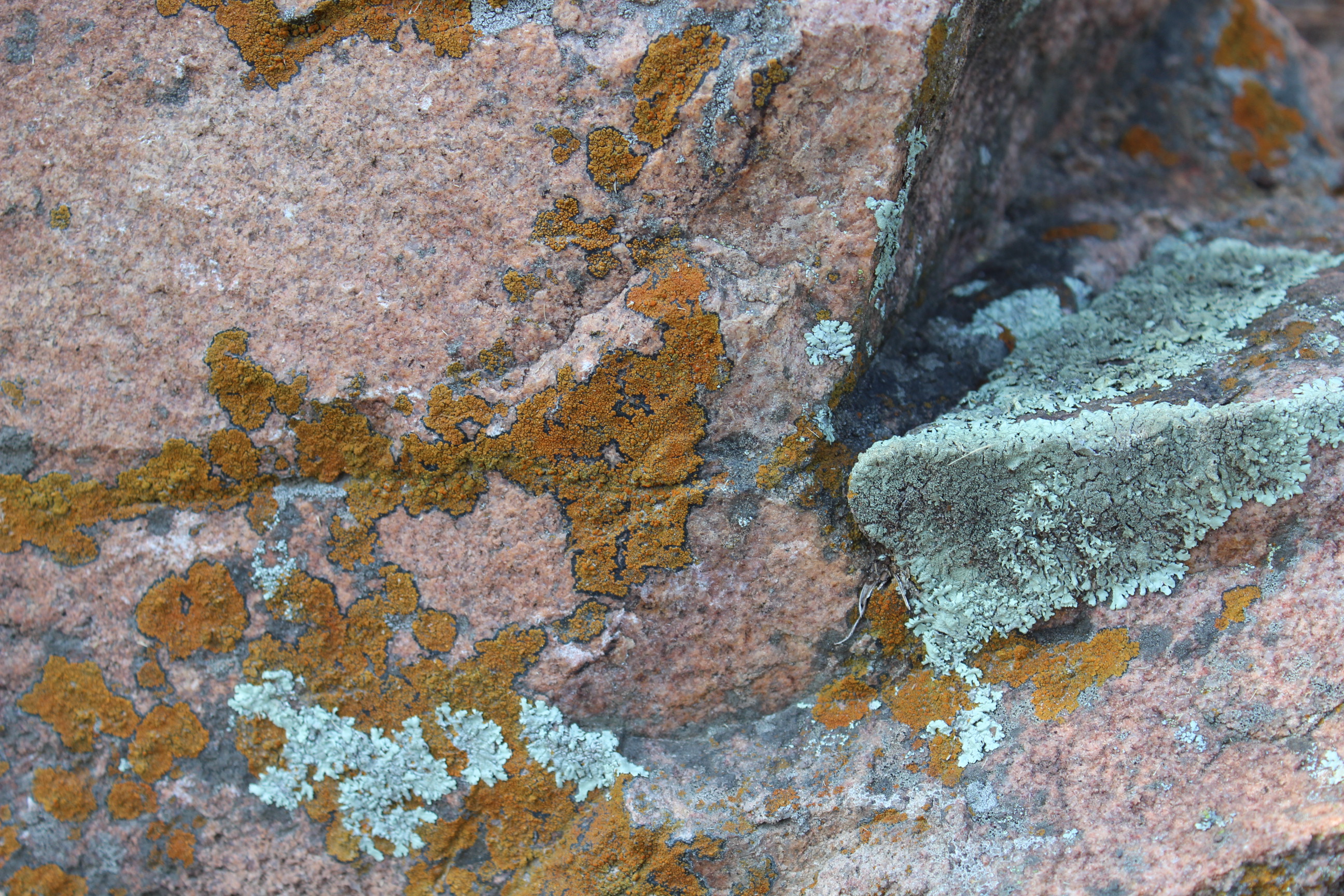 Random rock formation with lichen